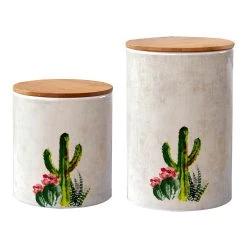 Brand new ✨ HiEnd Accents 2-piece Desert Succulent Cactus Canister Set - N/A ❤️