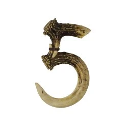 Best Pirce ???? HiEnd Accents Antler Address Number, 5 ⭐