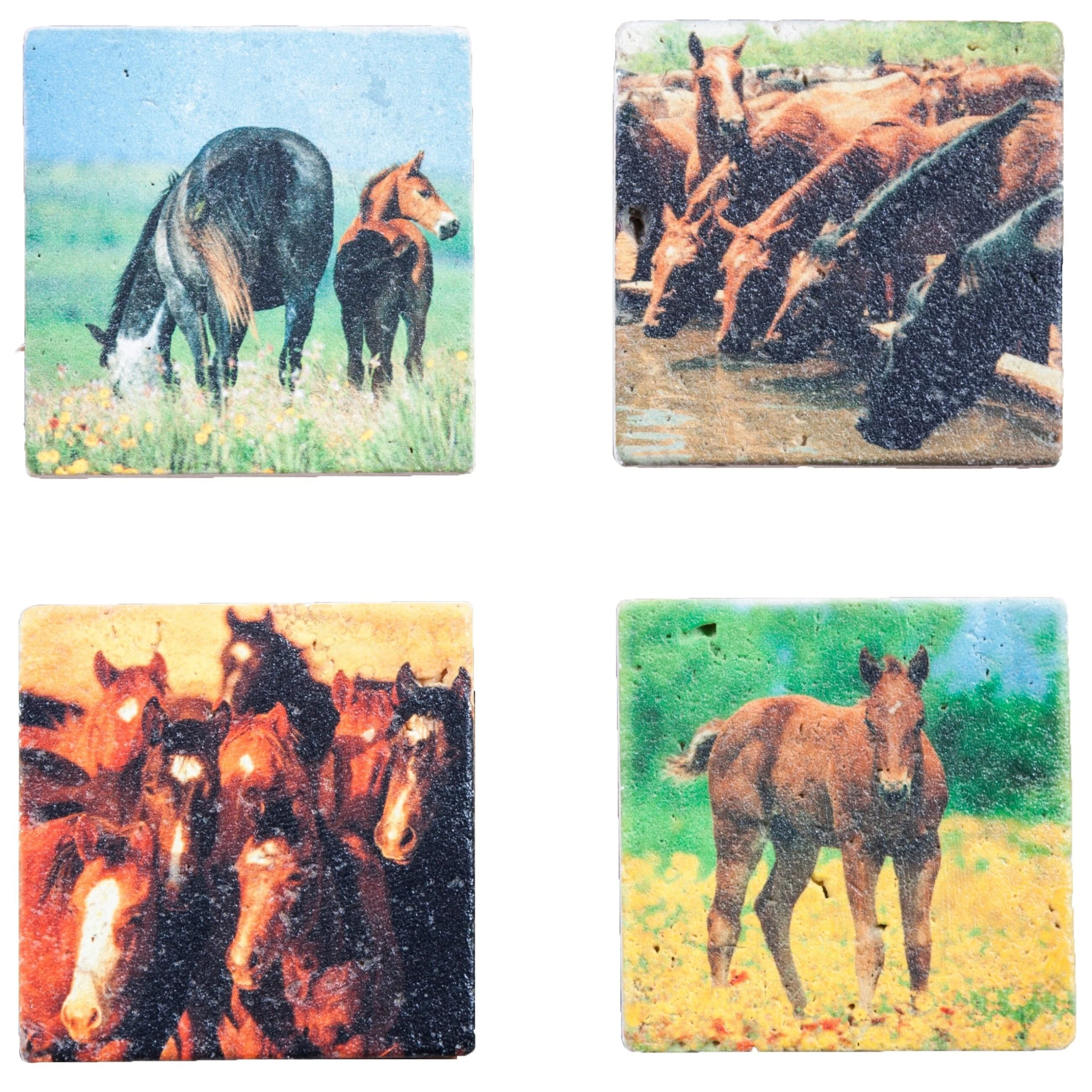 Best Sale ❤️ HiEnd Accents Horse Coasters, Set Of 4 ???? 3 Best Sale ❤️ HiEnd Accents Horse Coasters, Set Of 4 ????